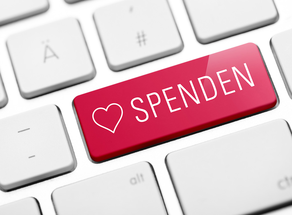 Geld Spenden Button Online